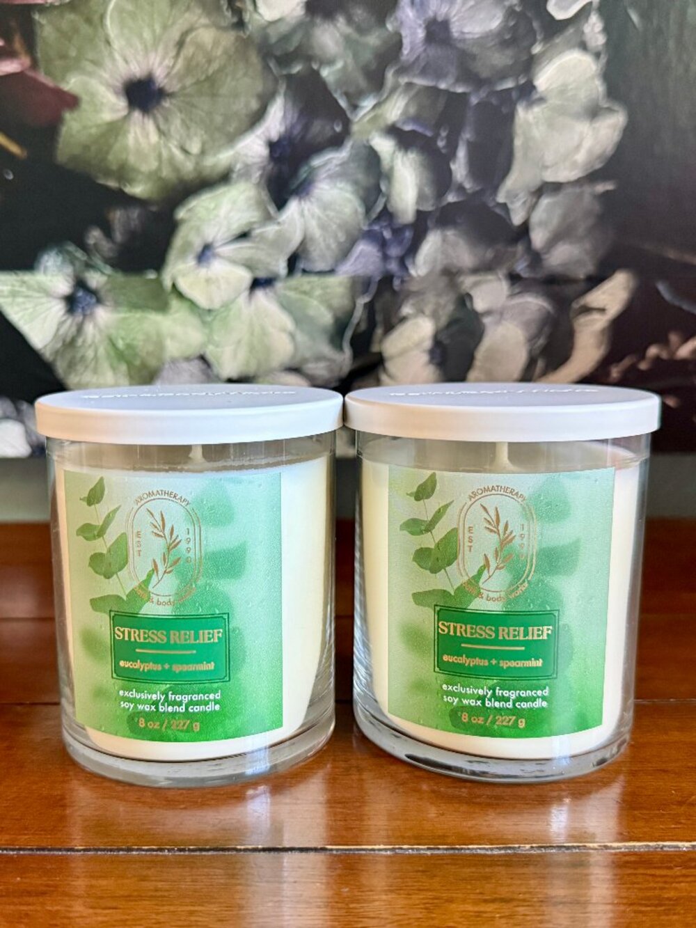 NEW 2-Pc EUCALYPTUS SPEARMINT Single Wick Candles Bath & Body Works